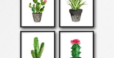 Cuadros de Cactus